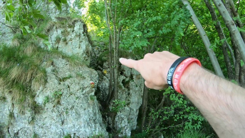 Monte Zucco da San Pellegrino Terme – Sentiero – foto 43