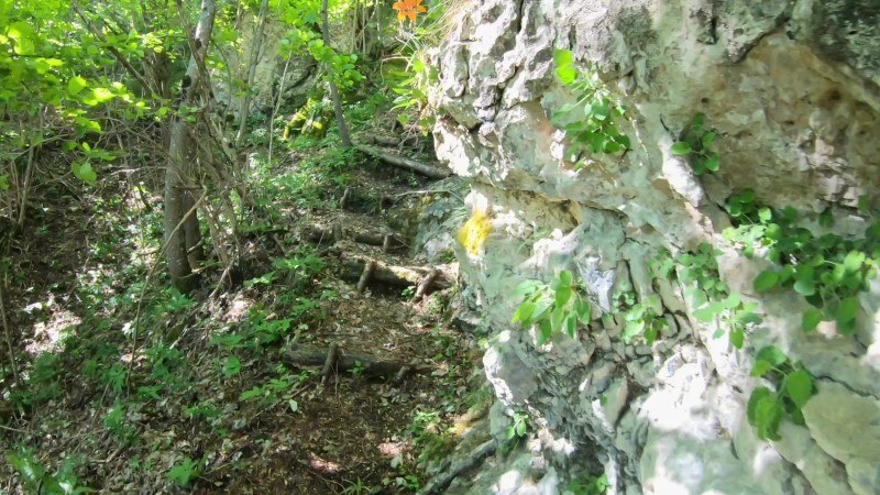 Monte Zucco da San Pellegrino Terme – Sentiero – foto 47