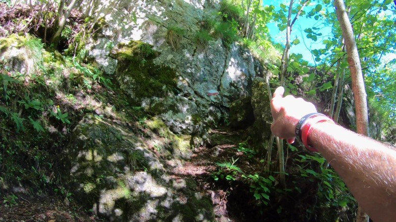 Monte Zucco da San Pellegrino Terme – Sentiero – foto 48