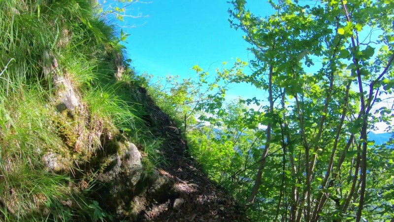 Monte Zucco da San Pellegrino Terme – Sentiero – foto 49