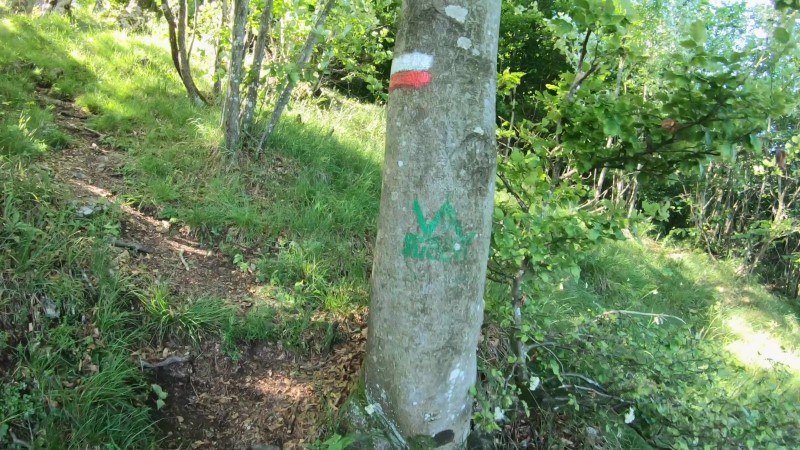 Monte Zucco da San Pellegrino Terme – Sentiero – foto 50