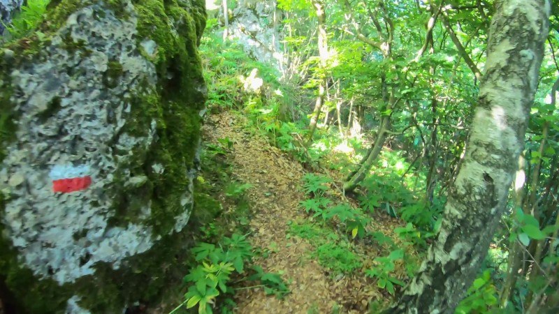 Monte Zucco da San Pellegrino Terme – Sentiero – foto 51