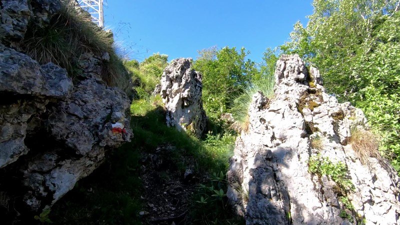 Monte Zucco da San Pellegrino Terme – Sentiero – foto 52