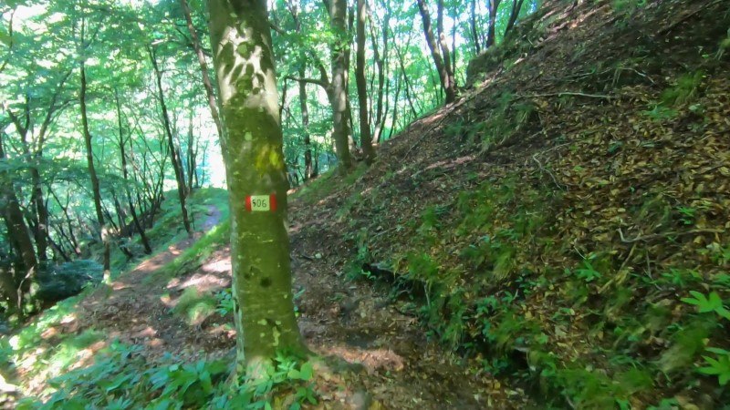 Monte Zucco da San Pellegrino Terme – Discesa con anello – foto 10