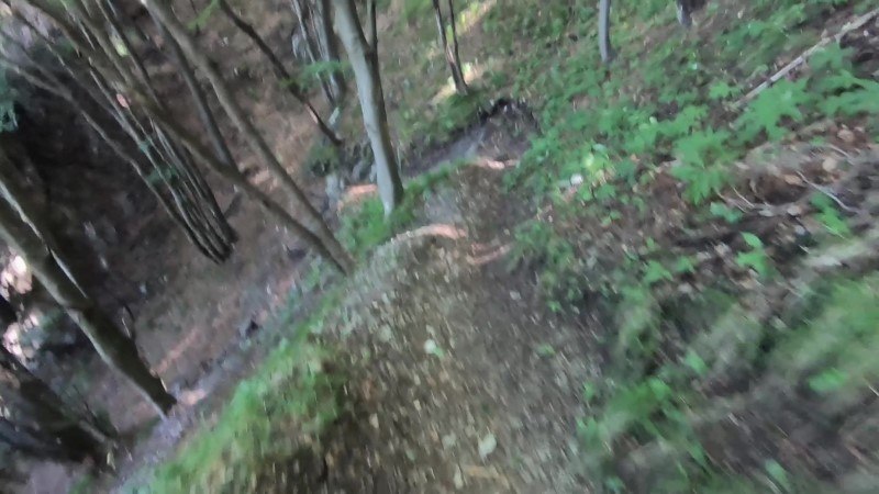 Monte Zucco da San Pellegrino Terme – Discesa con anello – foto 11