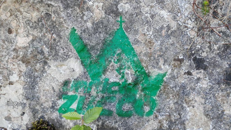 Monte Zucco da San Pellegrino Terme – Sentiero – foto 18