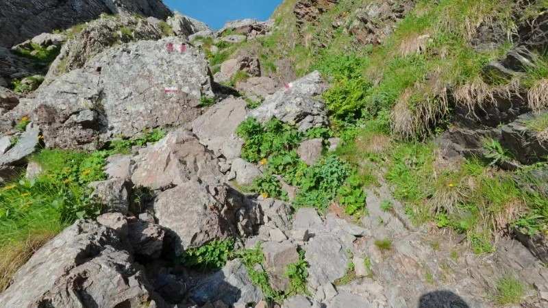 Rifugio Benigni dai Piani dell'Avaro
