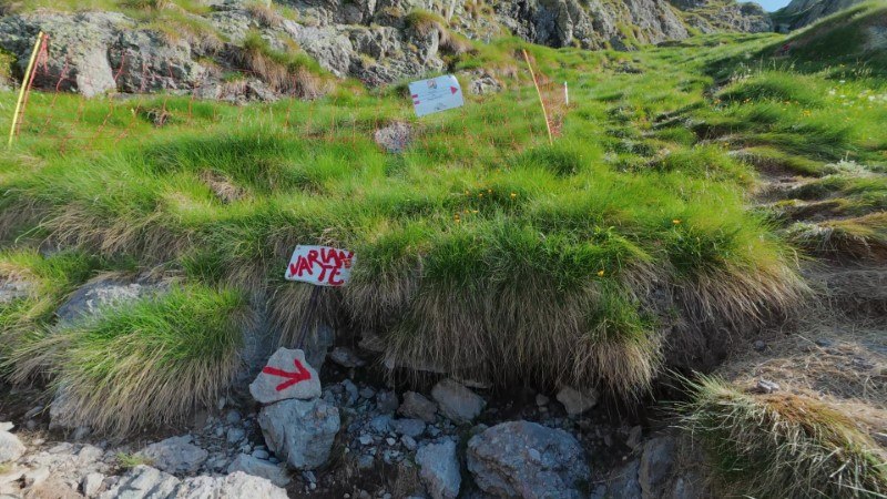Rifugio Benigni dai Piani dell'Avaro