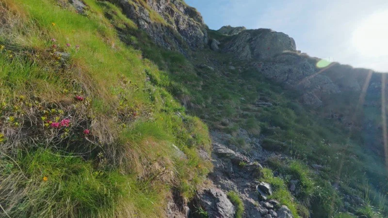 Rifugio Benigni dai Piani dell'Avaro