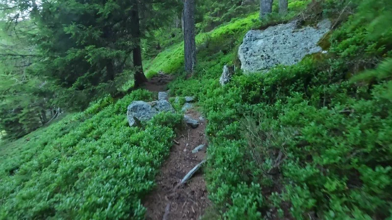 sentiero variante panoramica rifugio Dordona