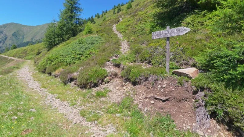Rifugio Dordona da Foppolo – Discesa con anello – foto 24