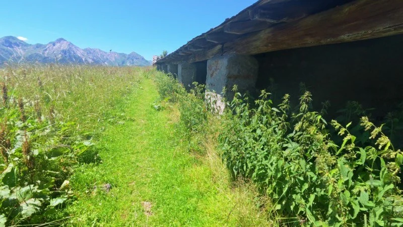 Rifugio Dordona da Foppolo – Discesa con anello – foto 23
