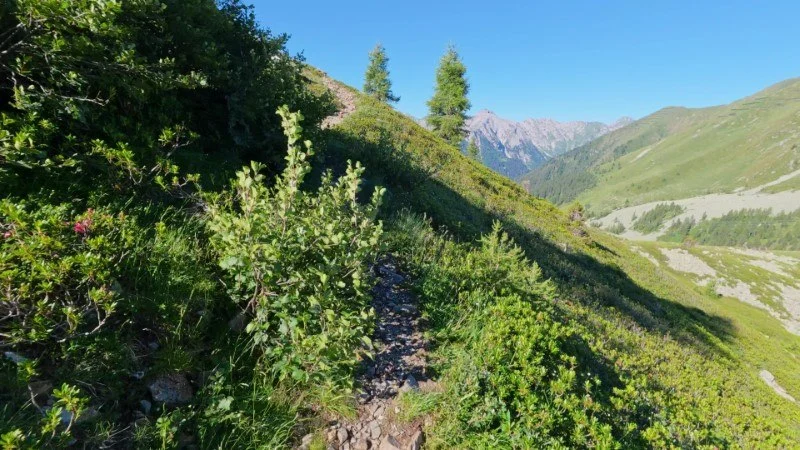 Rifugio Dordona da Foppolo – Discesa con anello – foto 9