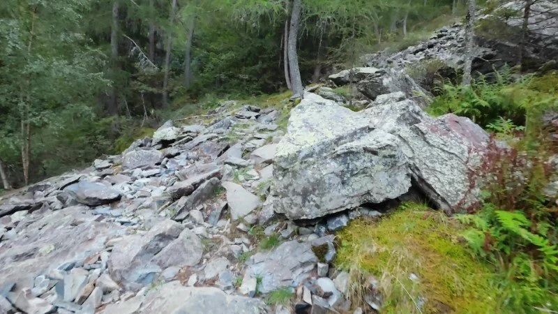 sentiero estivo rifugio calvi