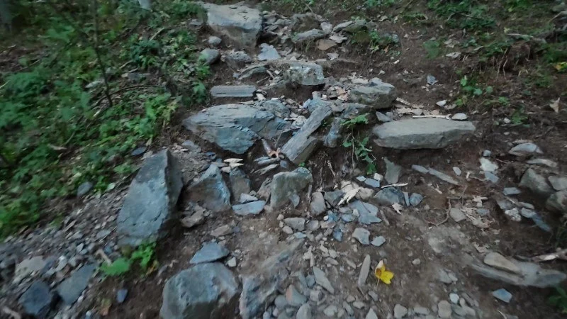 sentiero estivo rifugio calvi