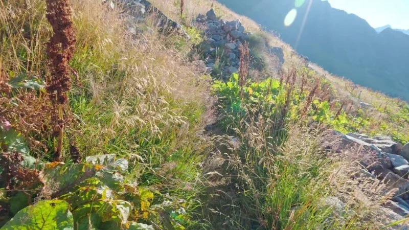 sentiero per il rifugio balicco
