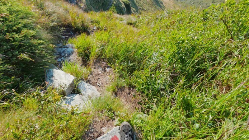 Rifugio Balicco da Cà San Marco – Sentiero – foto 26