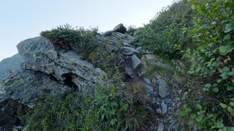 Rifugio Balicco da Cà San Marco – Sentiero – foto 17